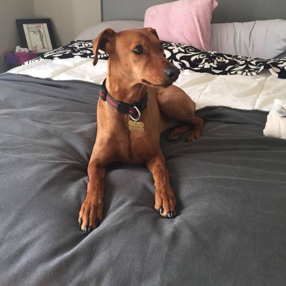 Meet your Posher, Anna - Picture 1 of 1